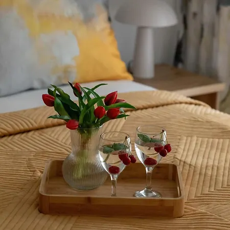 Cozy Near The With Parking And Terrace By Renters 미에드지보드지